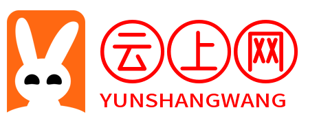 云上网